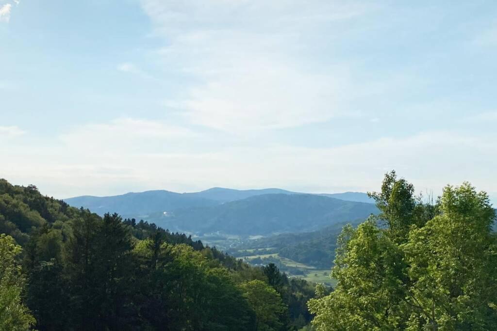 Mitten Im Bayerischen Wald + Schonblick + Urig + Netflix Schofweg Bagian luar foto
